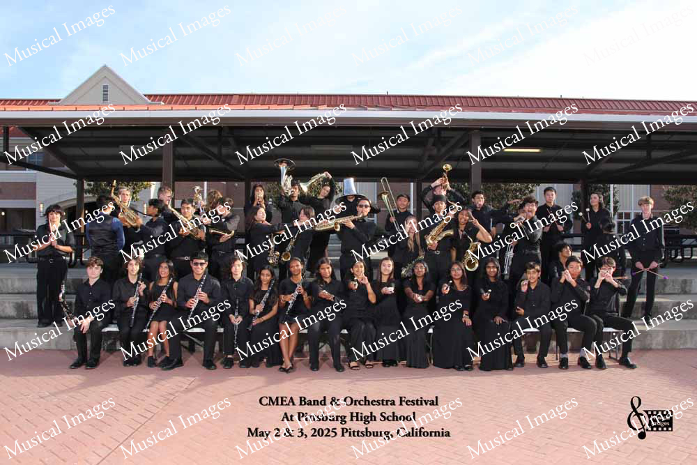 Musical Images